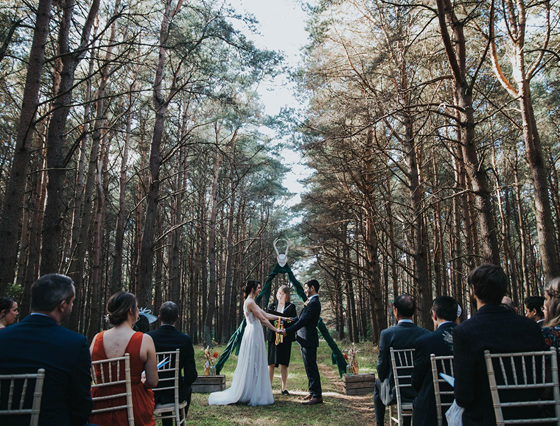 Woodland wedding with tall trees surrounding the ceremony